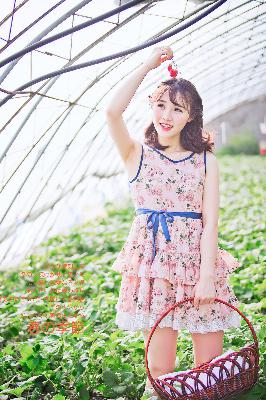 杨门十二寡妇肉床艳史电子书